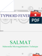Evidence Based Practice On Typhoid Fever