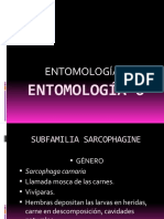 Entomología 6