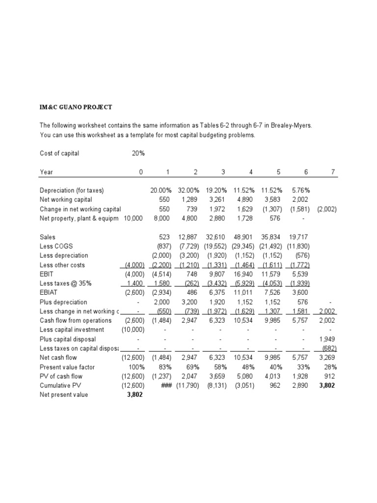Capital Budget Template | PDF | Capital Budgeting | Depreciation