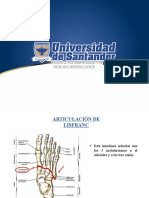 Articulacion de Lisfranc