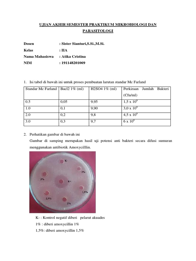 Uji Potensi Antimikroba Metode Sumuran | PDF