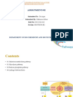 Metabolism Poster Assignment