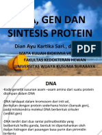 5 Dna, Gen Dan Sintesis Protein
