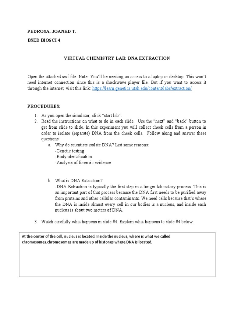 Virtual Chemistry Lab DNA Extraction PDF Dna Rna