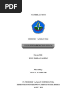 Download Klasifikasi ilmiah cocor bebek by Soneo Husni SN50859435 doc pdf