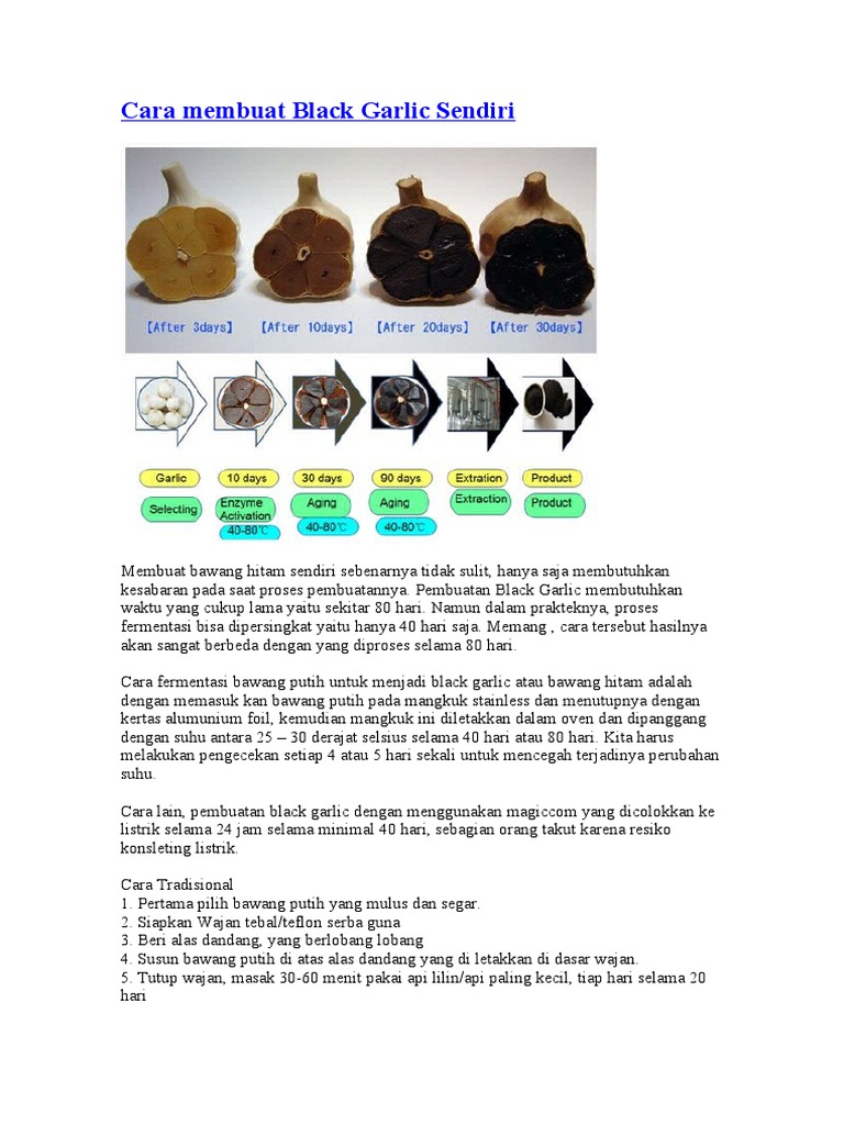 Cara Membuat Black Garlic Sendiri | PDF