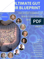 Jason Prall Ultimate Gut Repair Blueprint