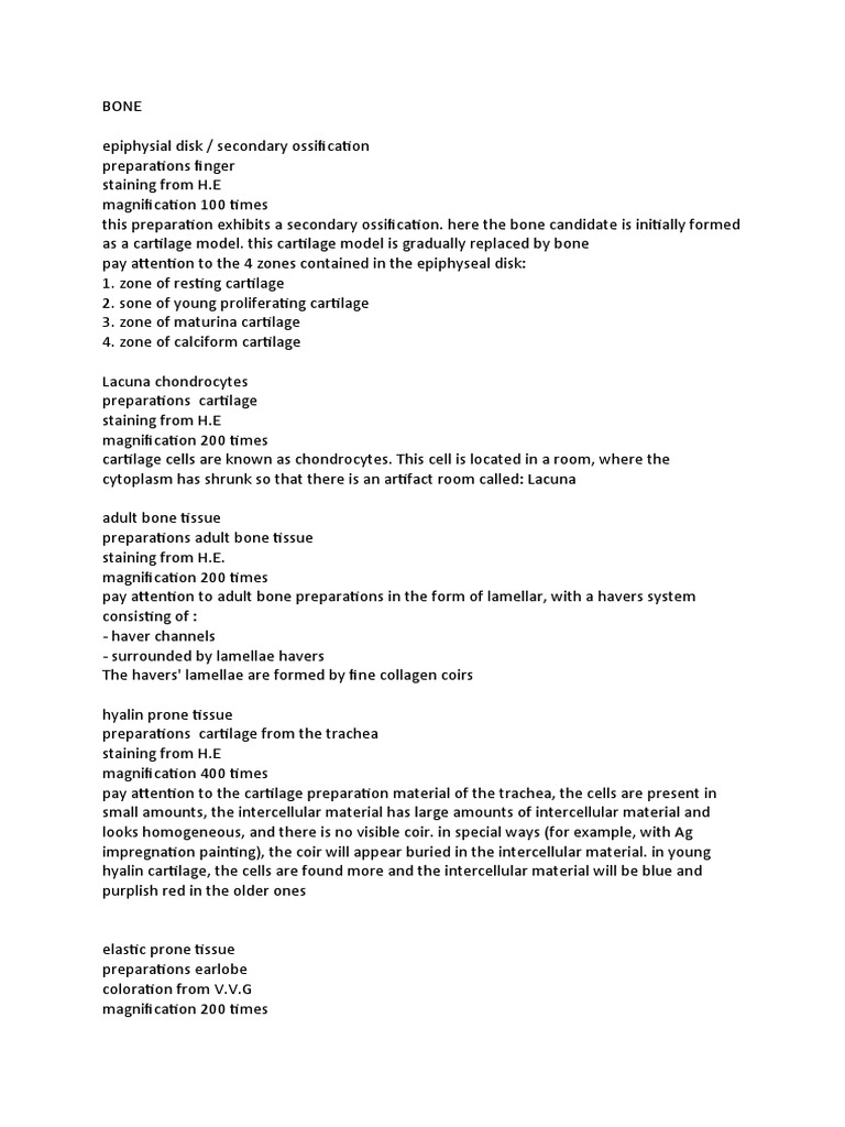Script Histo | PDF | Epithelium | Bone