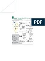 Pocketguides Schwindel Okulomotorik 11 2020