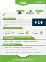 PDF Cincel