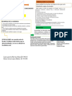 Mapa Conceptual, Audiencia Preparatoria