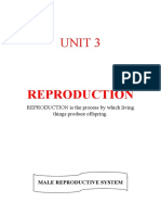 Reproduction 2