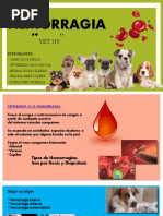 Toma de Muestra de Sangre en Cerdos | PDF | Sangre | Vena