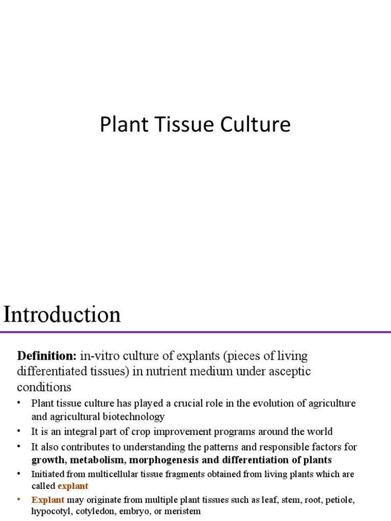 Introduction to Plant Tissue Culture | PDF | Seed | Germination