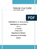 PLANT TISSUE CULTURE: HAPLOID CULTURE