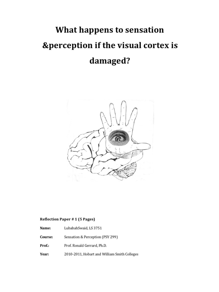 visual reflection essay