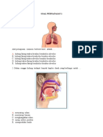 Soal Pernafasan 1