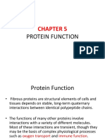 Protein Function: Myoglobin and Hemoglobin