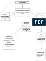 Mapa Conceptual Externalidades Del Bosque