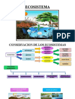 ECOSISTEMA