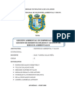 GESTIÓN AMBIENTAL ssoma