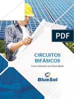 Circuitos bifásicos: princípios e aplicações