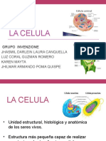 Componentes Citoplasmaticos Membranosos