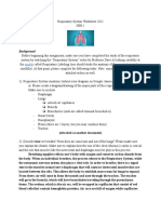 Julie Bui - Respiratory System Worksheet