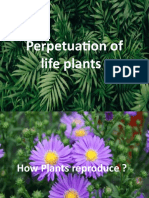 Perpetuation of Life Plants