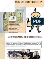 Mecanismos de Proteccion