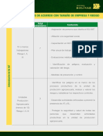 Tabla Estándares Aplicables de Acuerdo Con Tamaño de Empresa y Riesgo