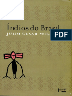 Índios Do Brasil- Júlio Cesar Melatti