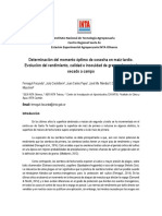 Determinación Del Momento Óptimo de Cosecha en Maíz Tardío.