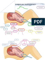 Desencadenamiento Trabajo de Parto