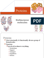 CH 3 Proteins Student Print
