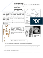 Les Australopitheques Nos Ancetres