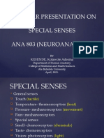 A Seminar Presentation On Special Senses Ana 803 (Neuroanatomy)