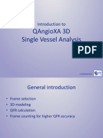 Qangioxa 3D Single Vessel Analysis: Introduction To