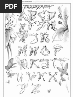 Tattoo Shading Techniques Tattoo Grey