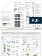 Slides - Ensaios Urbanos