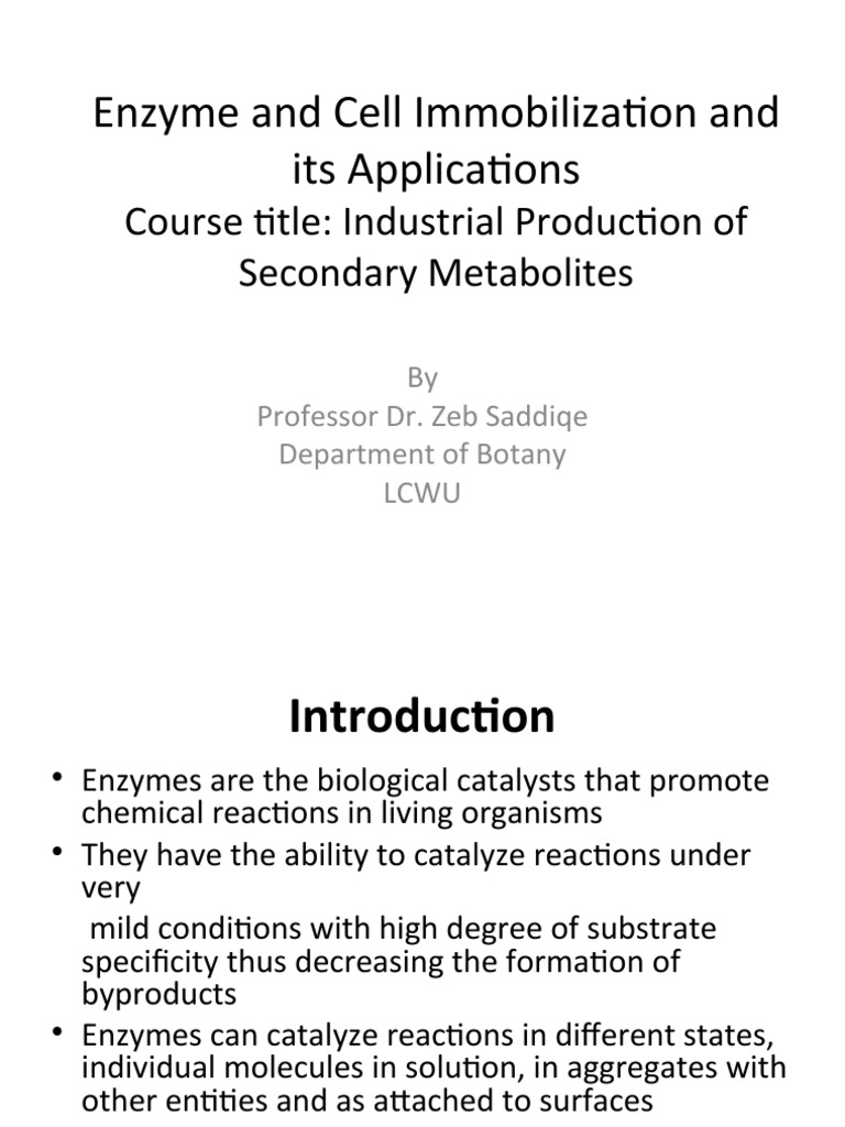 Enzyme Immobilization Techniques & Uses | PDF | Enzyme | Catalysis