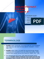 Materi Hepatitis