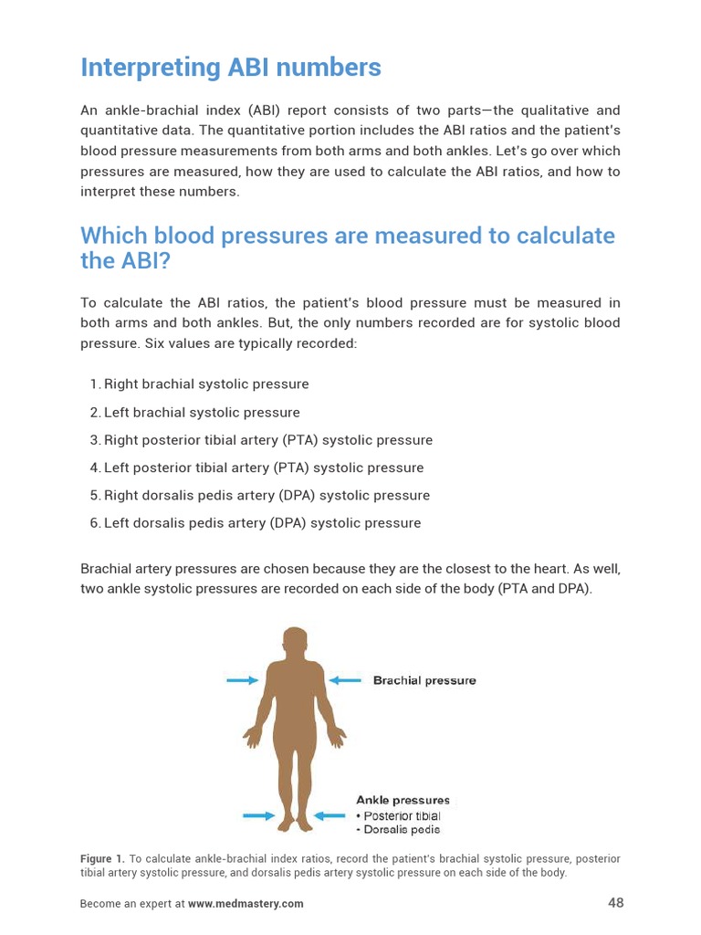 UltrasoundMasterclass - Arteries - of - The - Legs - Handbook 48 | PDF