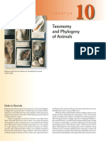 Taxonomy and Phylogeny of Animals: Order in Diversity