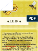 334453183-Albina-ppt