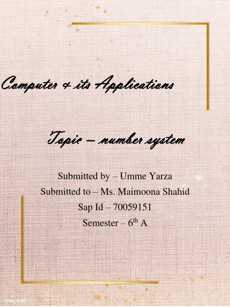 Understanding Number Systems in Computing | PDF