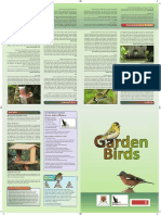 Garden Birds Poster 