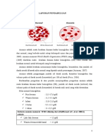 LAPORAN PENDAHULUAN ANEMIA