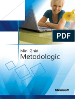 Mini Ghid Metodologic