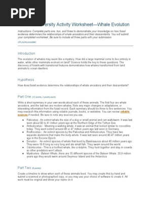 marine-biodiversity-activity-worksheet-whale-evolution-30-points-possible-pdf-whales-evolution